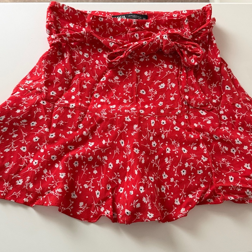 Zara Red Floral Skater Skirt